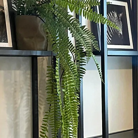 At Smilla - Boutique Mit Küche - Parken - Klima - Netflix - Waschmaschine