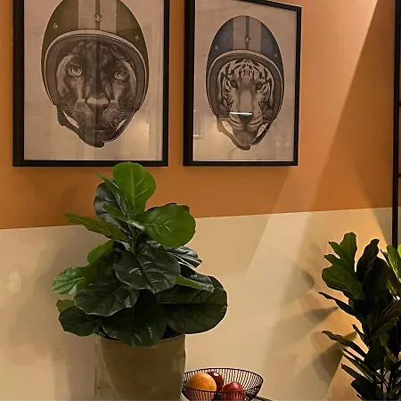 At Smilla - Boutique Mit Kueche - Parken - Klima - Netflix - Waschmaschine Appartement Wiesbaden