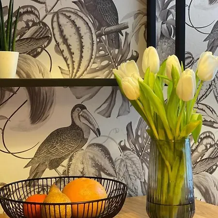 At Smilla - Boutique Mit Küche - Parken - Klima - Netflix - Waschmaschine Apartment Wiesbaden