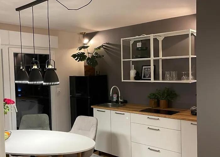 公寓 At Smilla - Boutique Mit Kueche - Parken - Klima - Netflix - Waschmaschine 威斯巴登