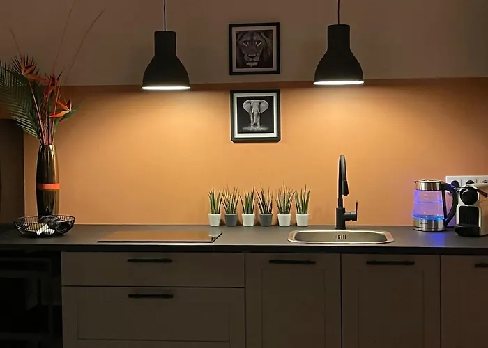 At Smilla - Boutique Mit Kueche - Parken - Klima - Netflix - Waschmaschine * Висбаден