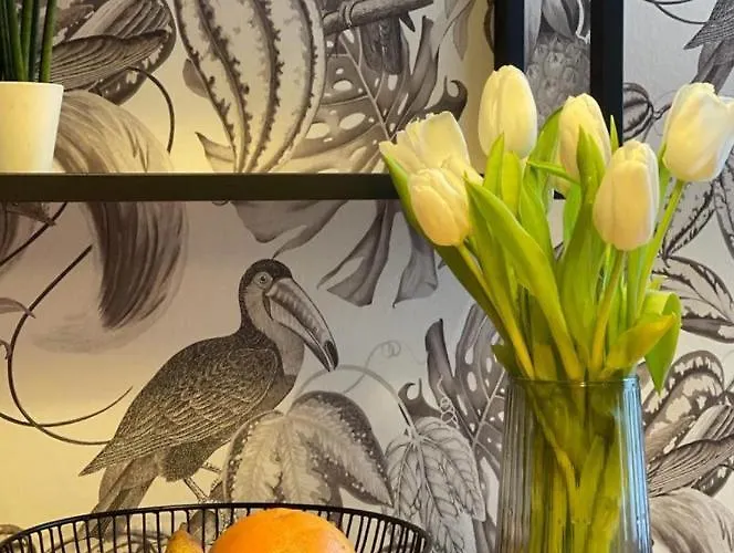 At Smilla - Boutique Mit Kueche - Parken - Klima - Netflix - Waschmaschine 公寓 威斯巴登